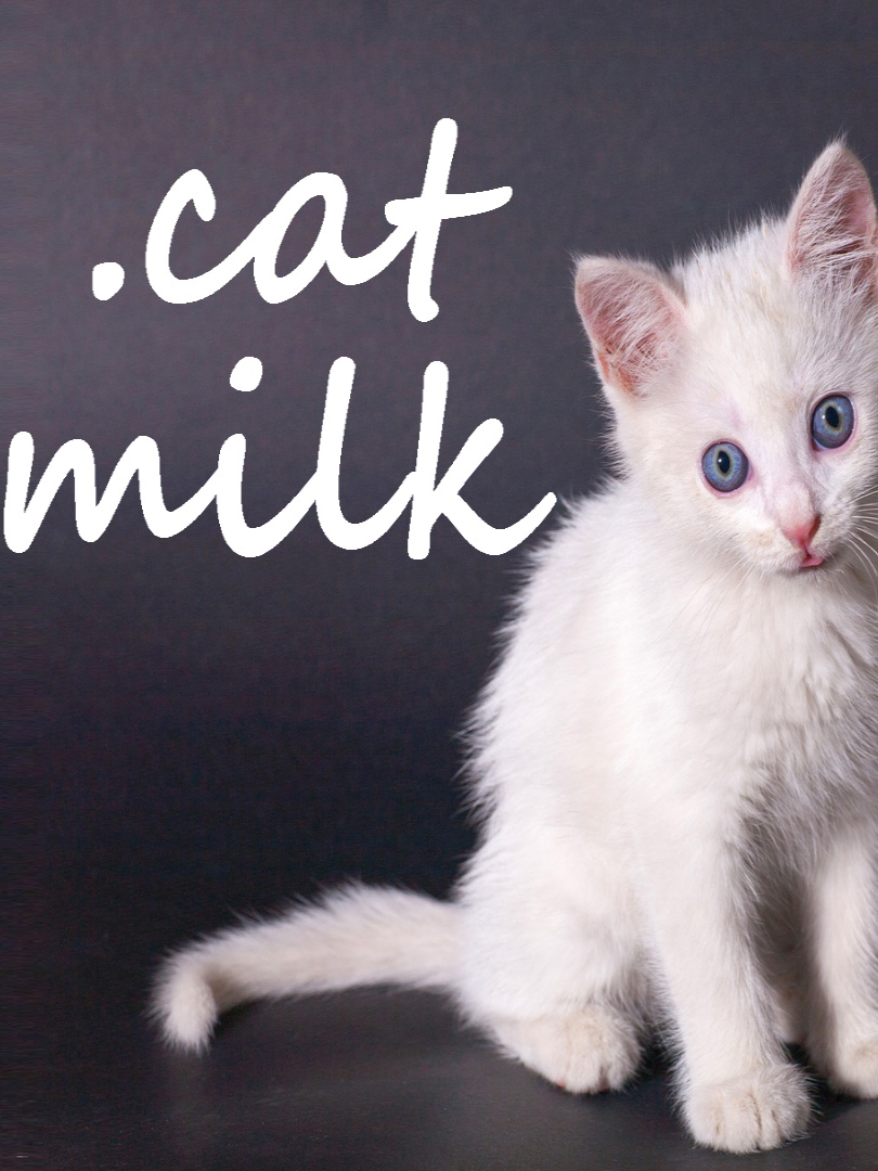 Cat Milk