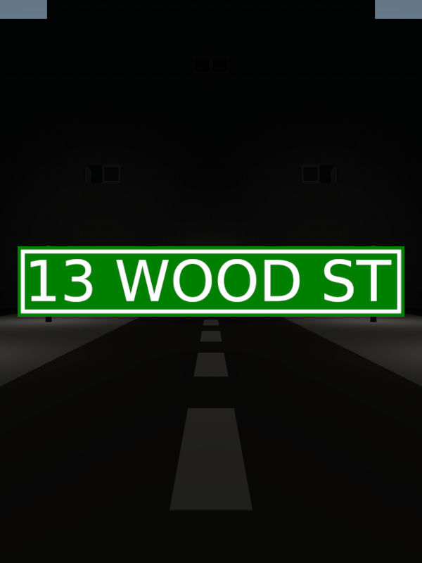 Woods 13