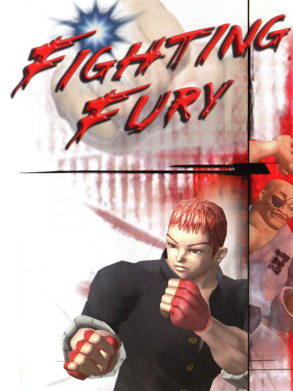 fighting fury ps2