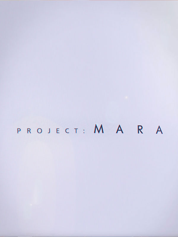 Game cover Project: Mara
