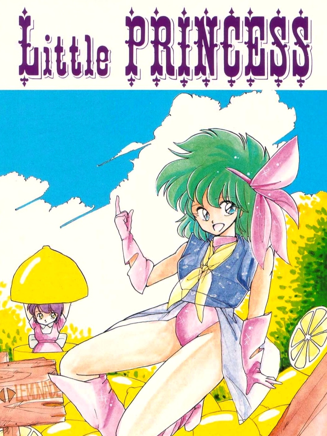 Game cover: Little Princess