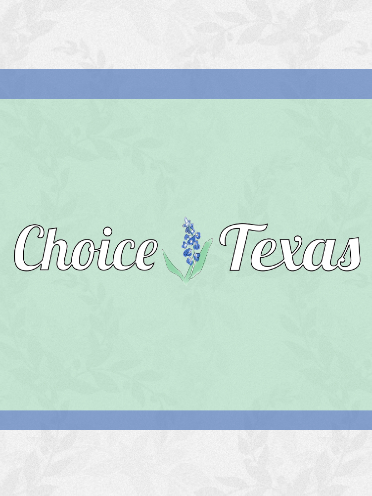 Game cover: Choice: Texas