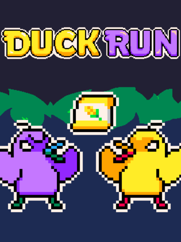 Game cover: Duck Run