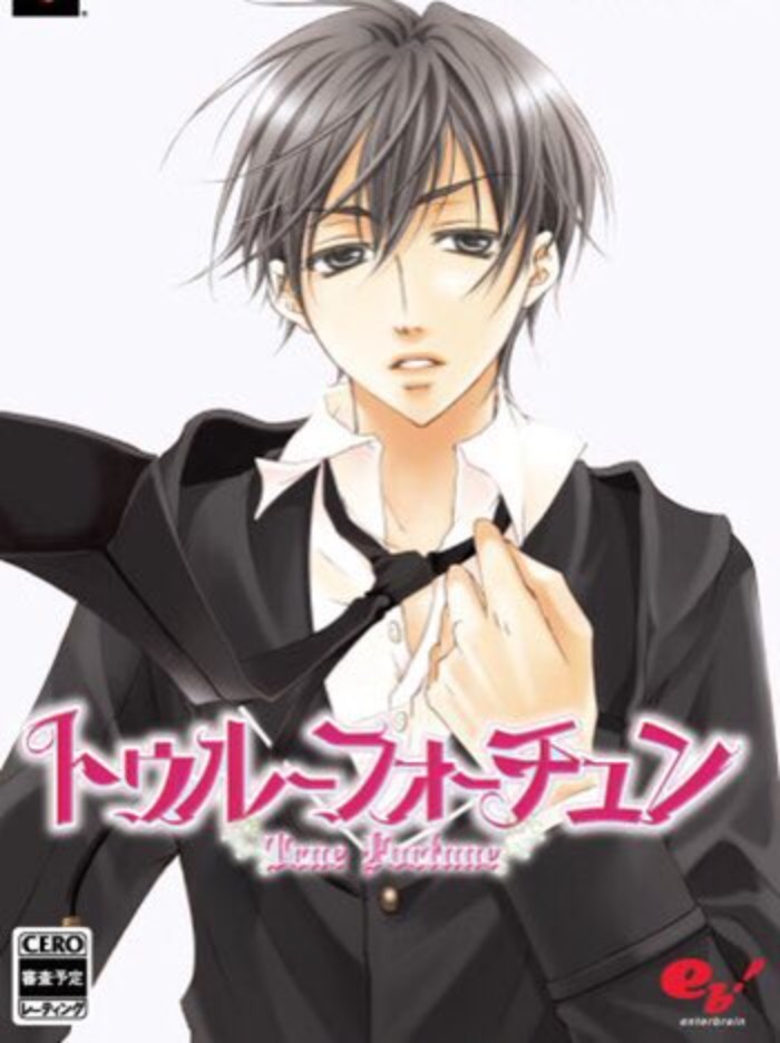 Game cover: True Fortune