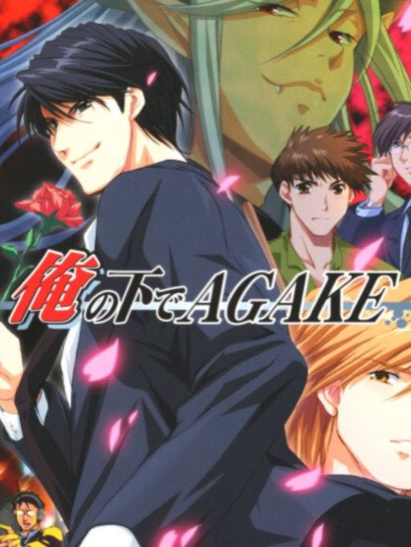 Game cover: Ore no Shita de Agake