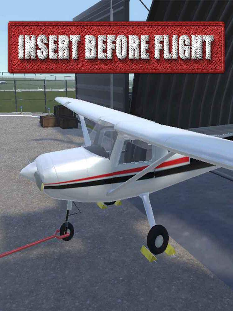 Game cover: Insert Before Flight