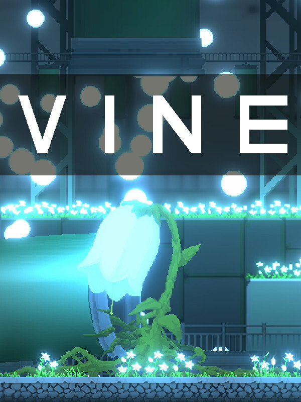 Vine