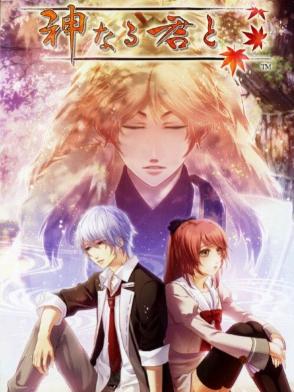 Game cover: Kami Naru Kimi To