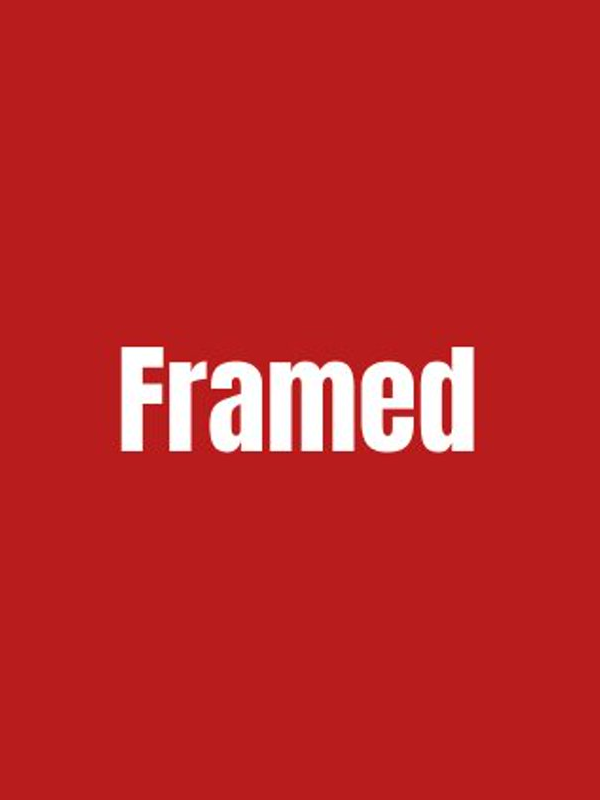 Game cover: Framed