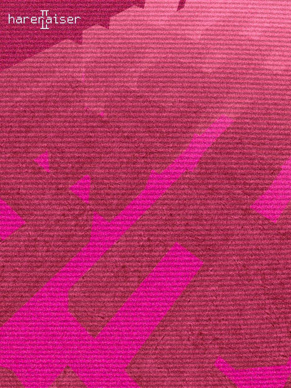 Game cover: Hareraiser II