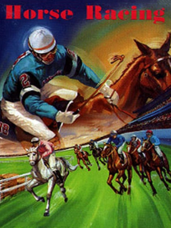 Game cover: 1991 Du Ma Racing