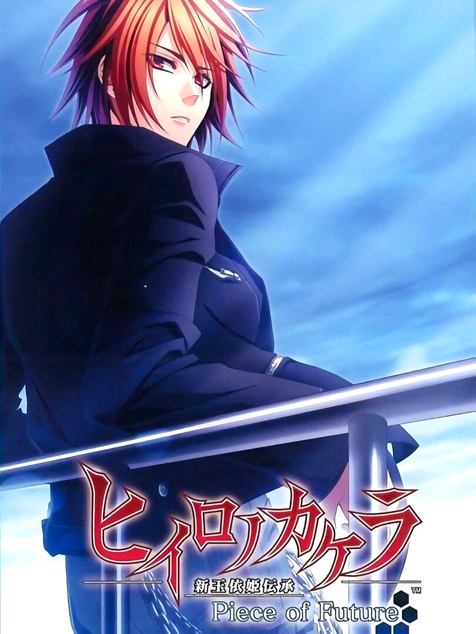 Game cover: Hiiro no Kakera: Shin Tamayori-hime Denshou - Piece of Future