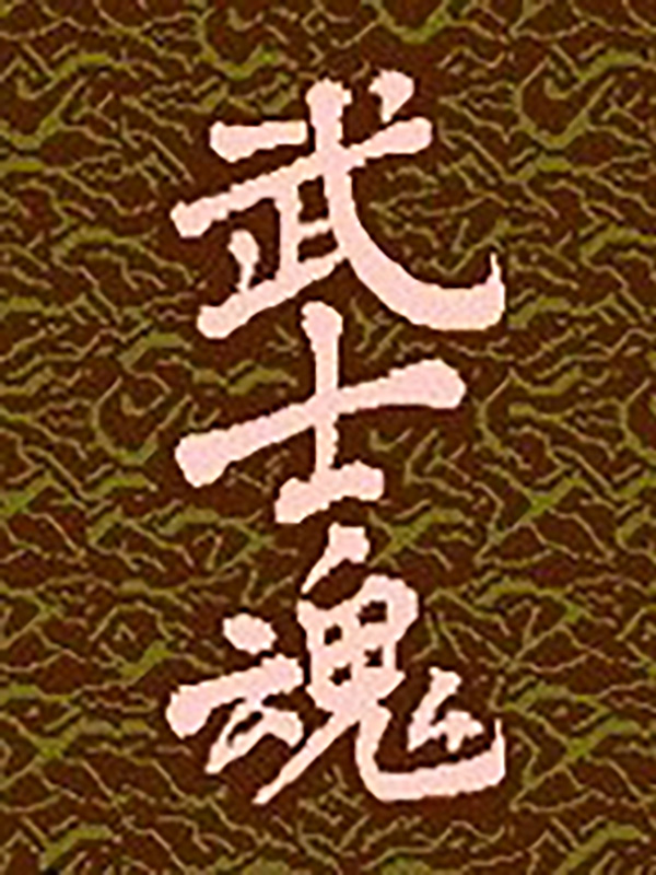 Game cover: Wu Shi Hun