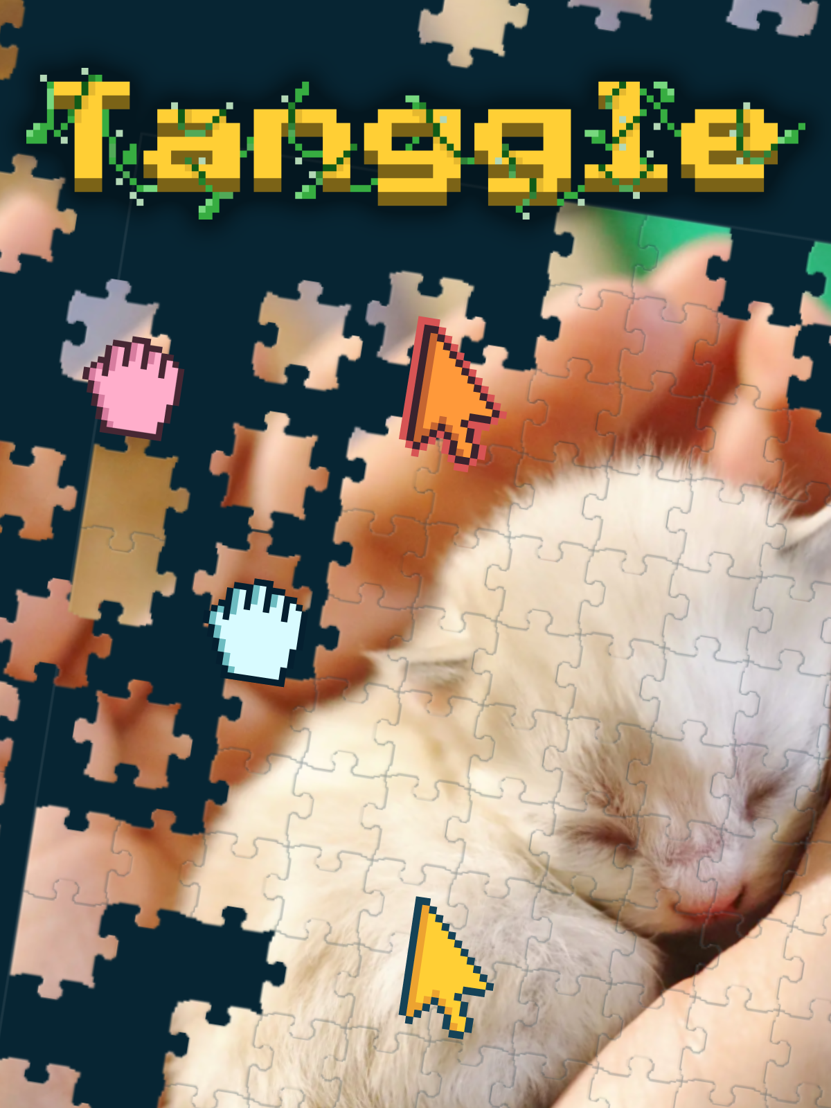 Game cover: Tanggle