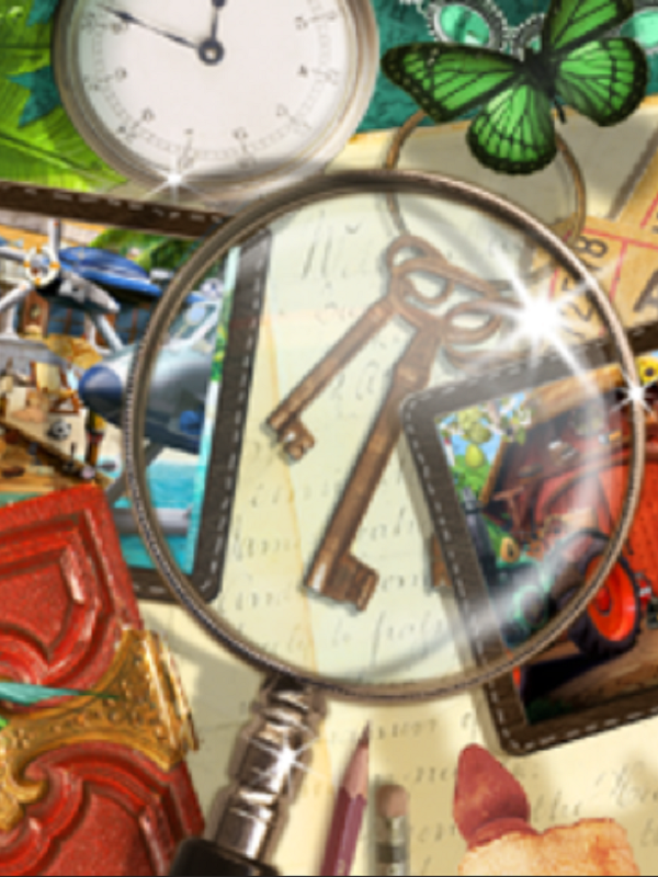 Game cover: 100% Hidden Objects