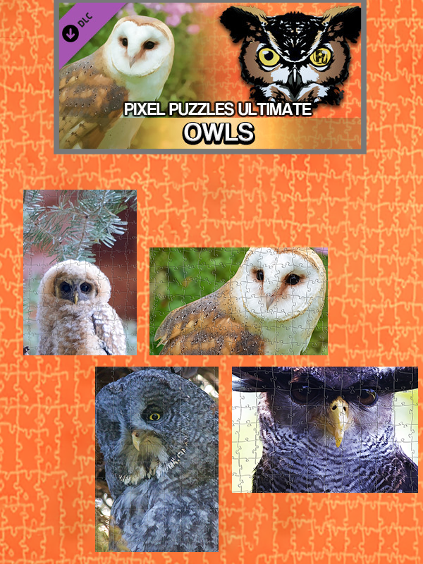 Pixel Puzzles Ultimate: Owls