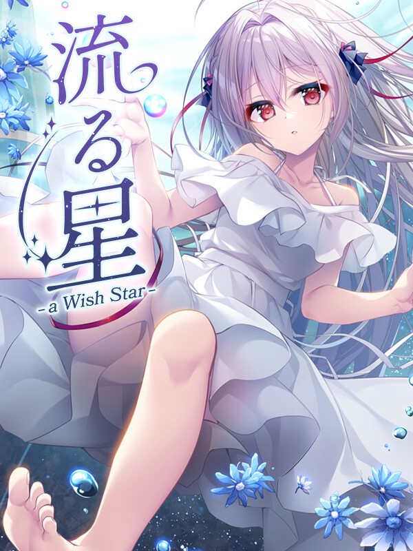 Game cover: A Wish Star