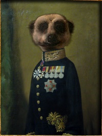 Game cover: Compare the Meerkat