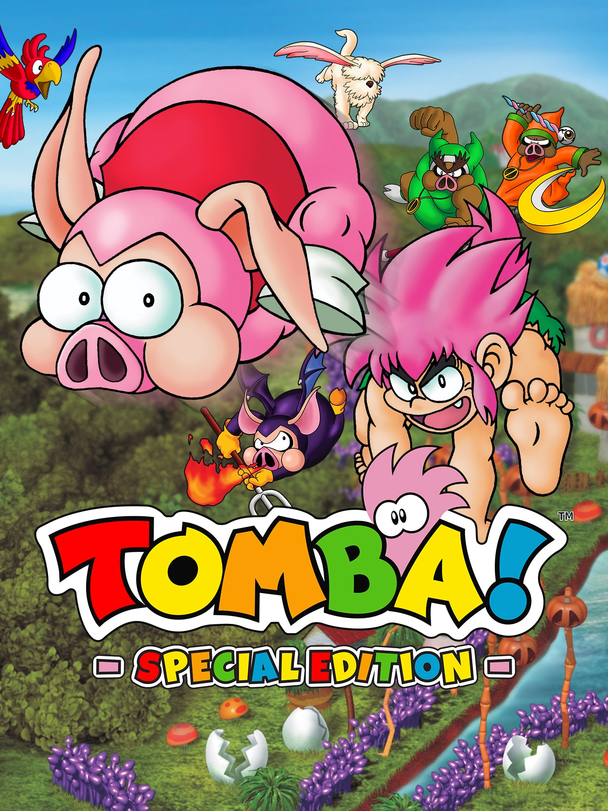 Game cover Tomba! Special Edition