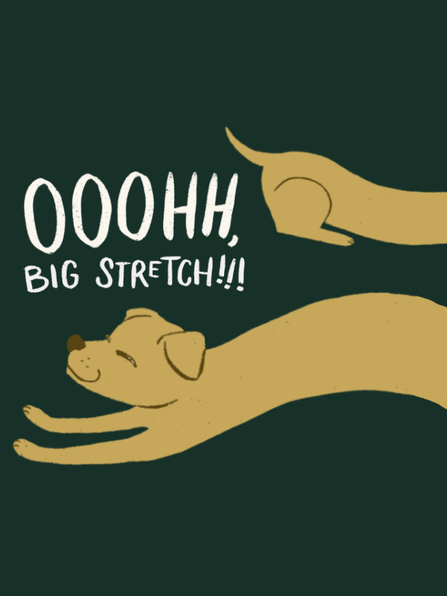 Game cover: Ooohh, Big Stretch!!!