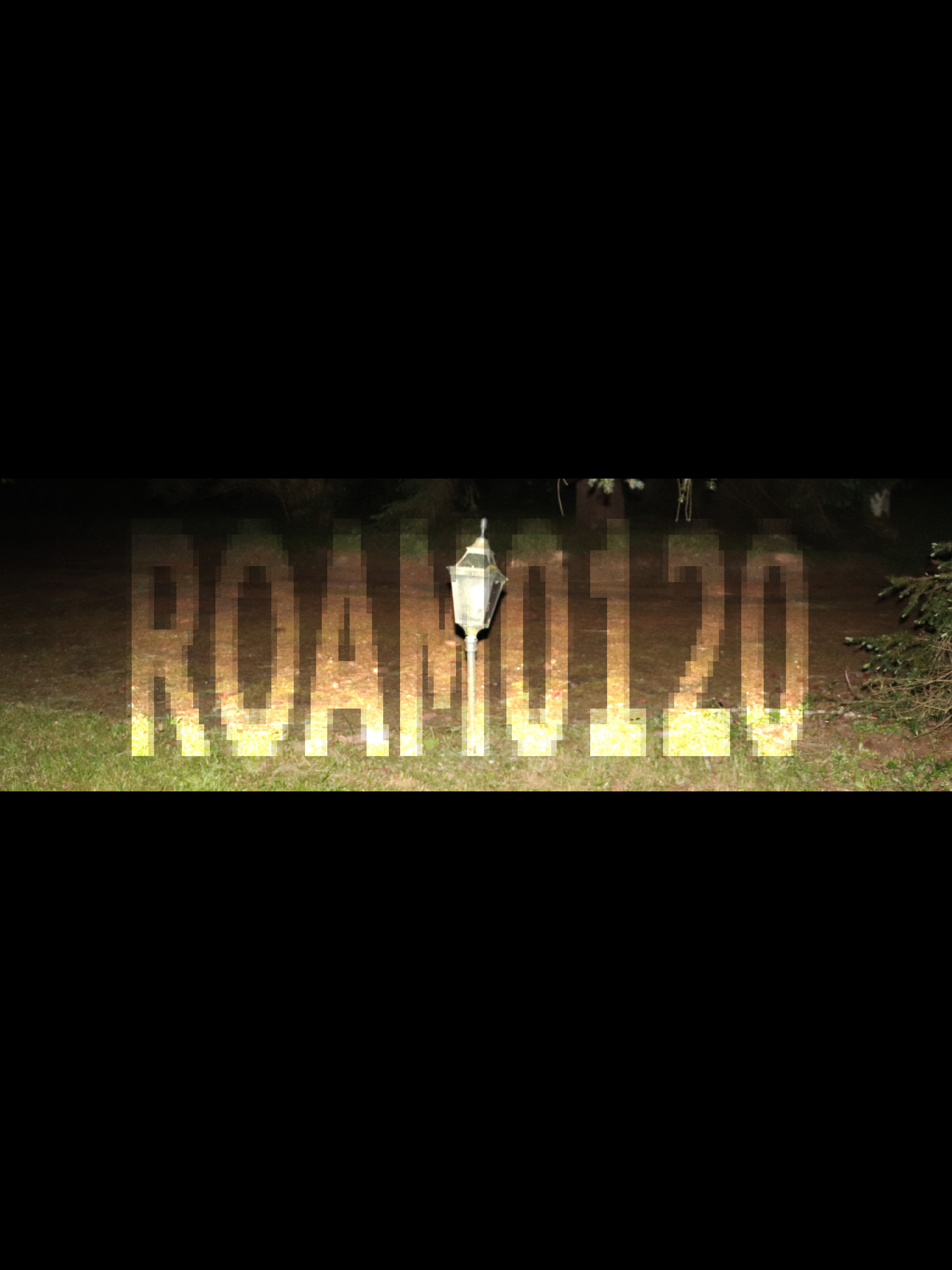 Roam0120