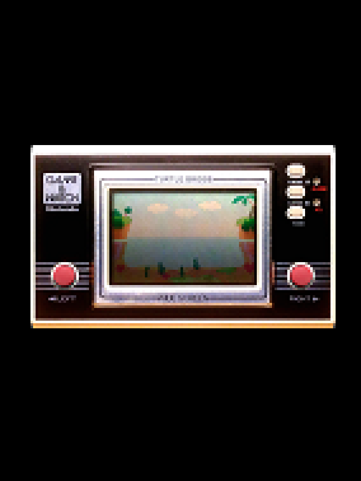 Game cover: Turtle Bridge