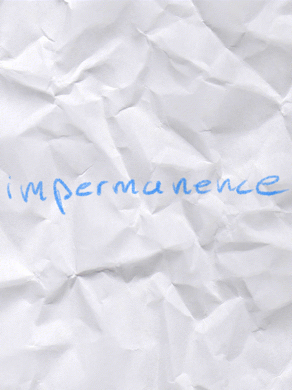 Game cover: Impermanence