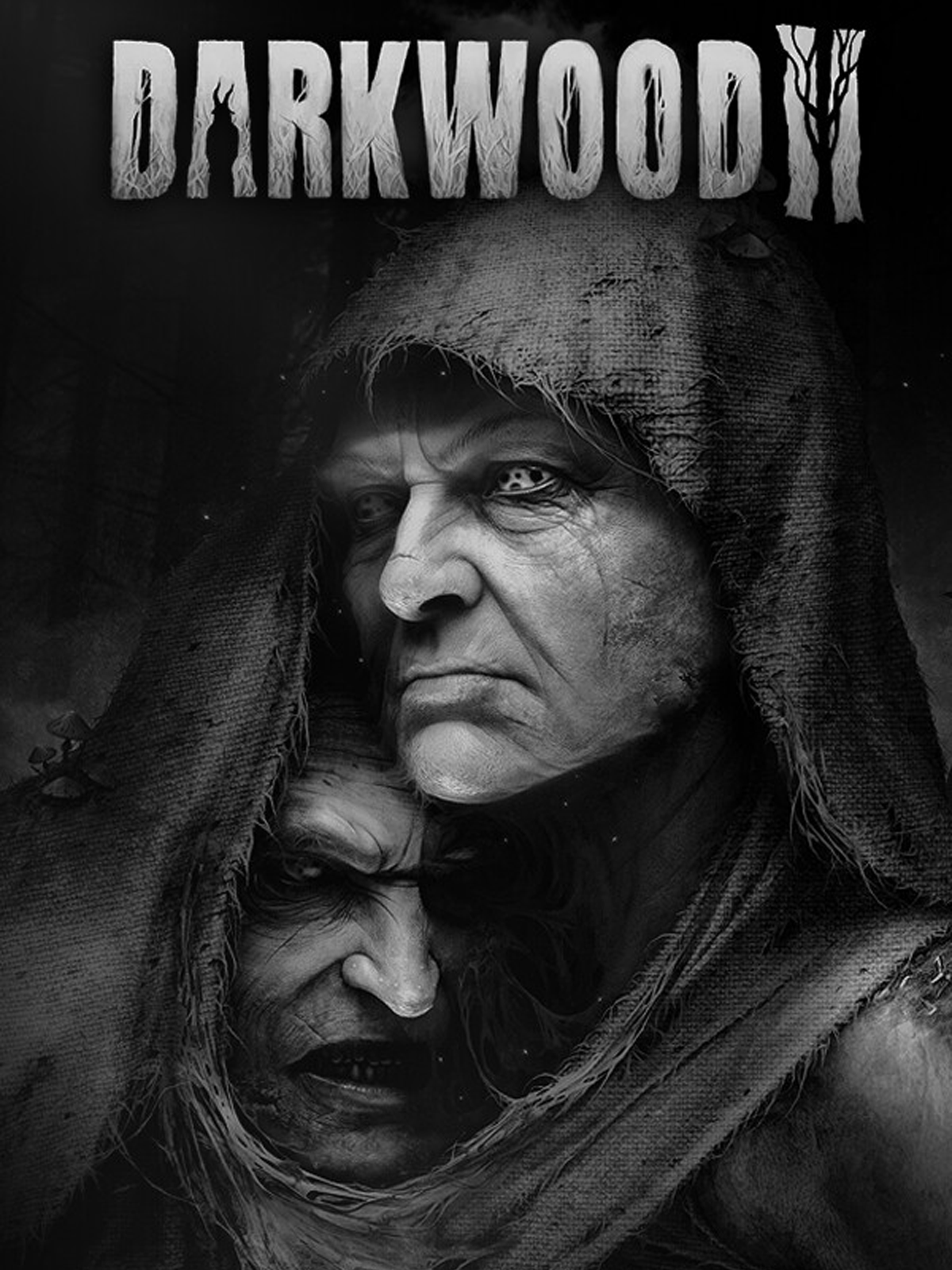Game cover Darkwood II