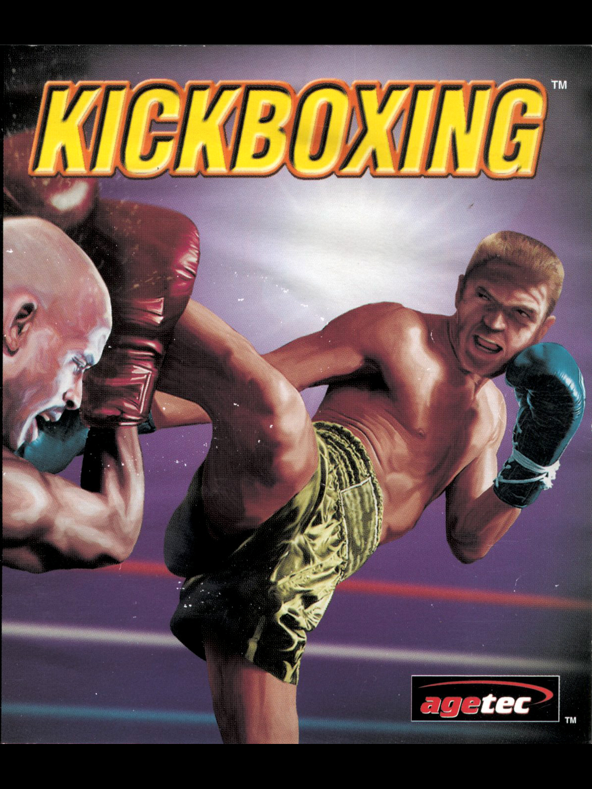 Game cover: Kickboxing