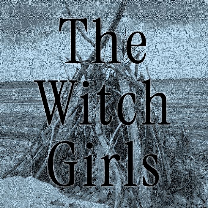 Game cover: The Witch Girls