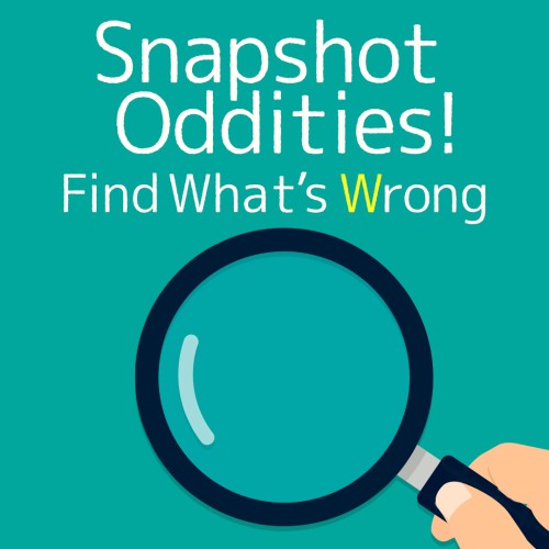 Snapshot Oddities! Find What's Wrong