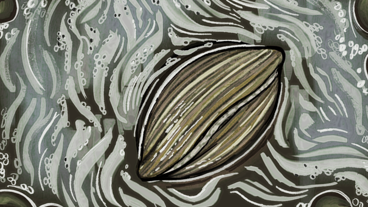 Game cover: Waste Water