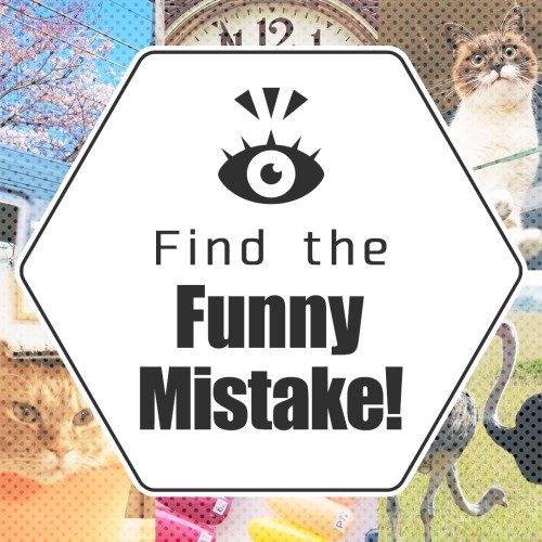 Find the Funny Mistake!