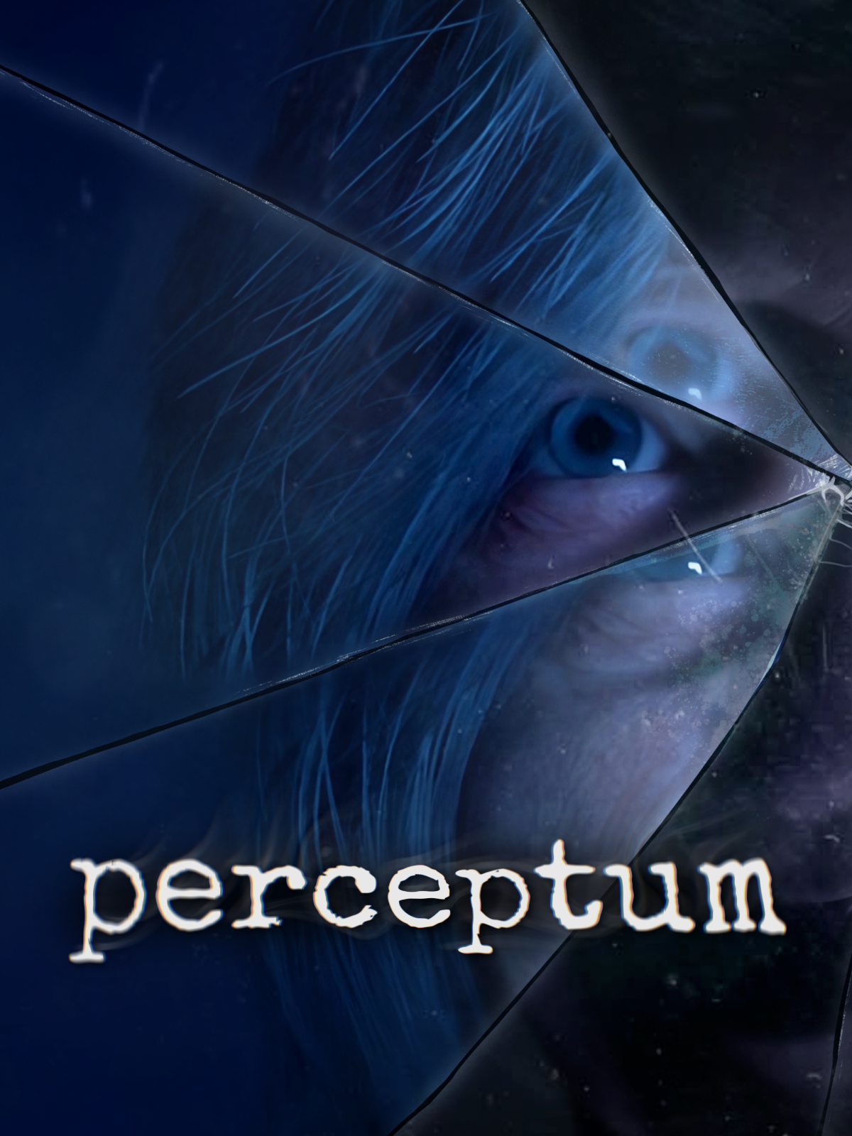 Game cover: Perceptum