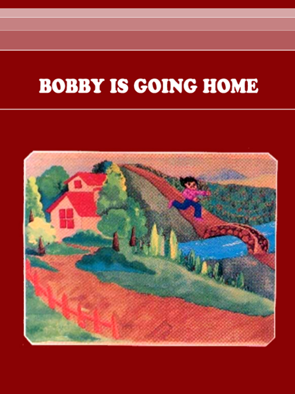 Game cover: Bobby is Going Home