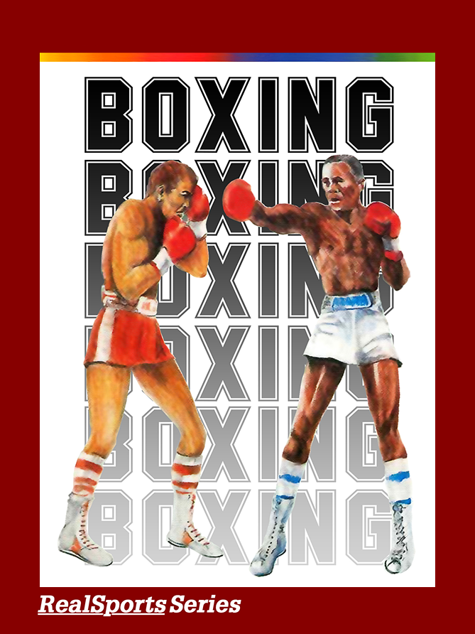 Game cover: RealSports Boxing