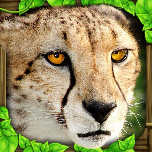 Game cover: Cheetah Simulator