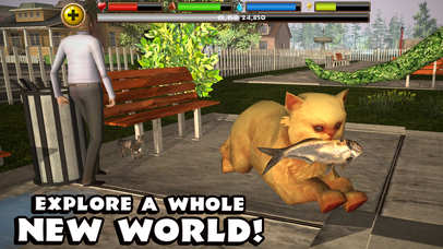 Stray Cat Simulator - Screenshot 3