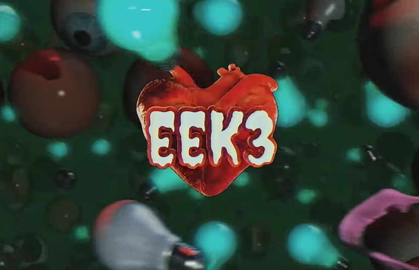 EEK3 2023 标志