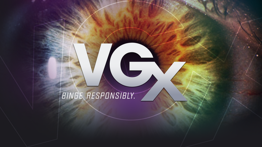 VGX 2013 标志