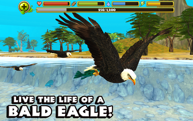 Eagle Simulator - Screenshot 5