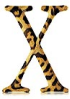 Jaguar 图片