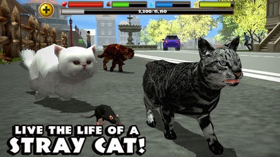 Stray Cat Simulator - Screenshot 1