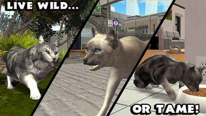 Ultimate Cat Simulator - Screenshot 9