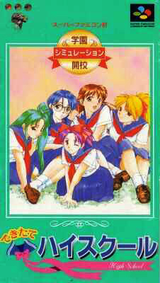 Game cover: Dekitate High School