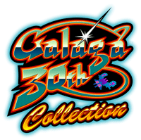Game cover: Galaga 30th Collection