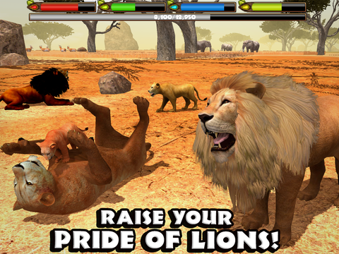 Ultimate Lion Simulator - Screenshot 9
