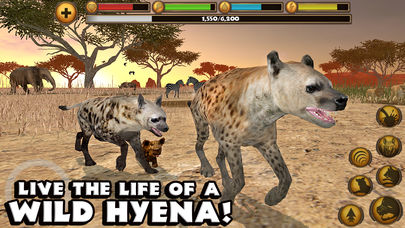 Hyena Simulator - Screenshot 3