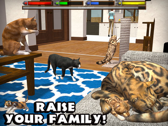 Ultimate Cat Simulator - Screenshot 2