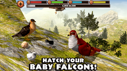 Falcon Simulator - Screenshot 8